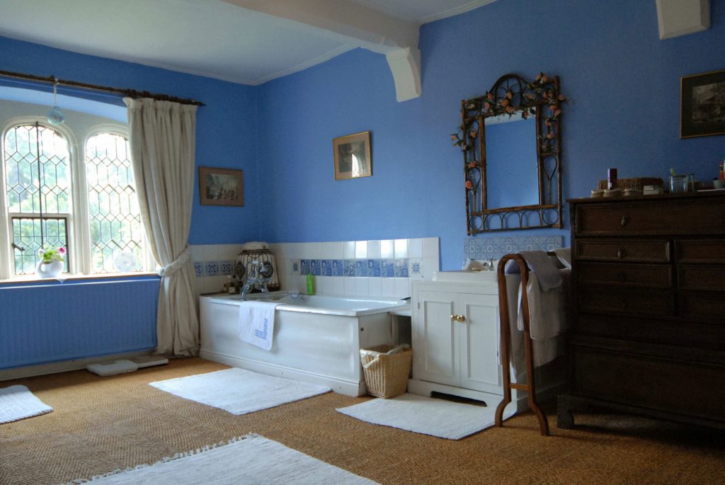 ensuite to main room at Pentrehobyn Hall