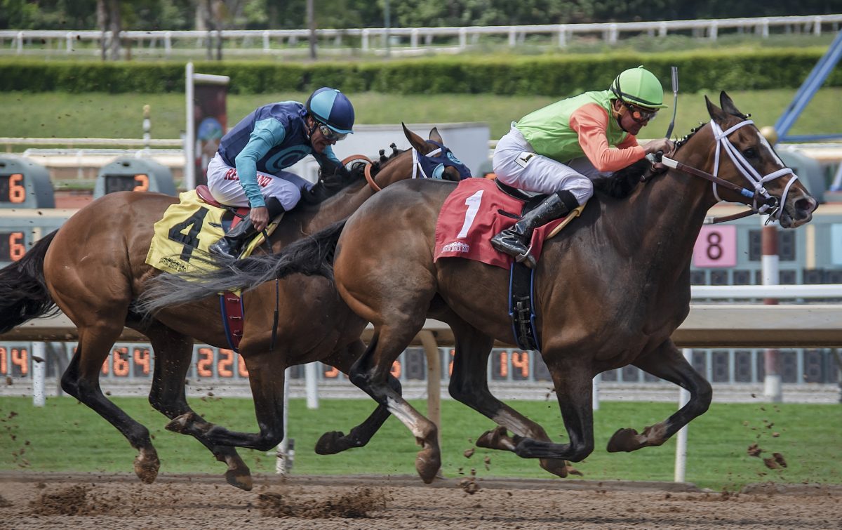 The Grand National